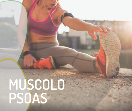 muscolo psoas